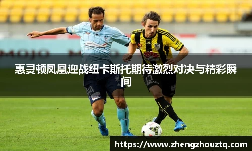 惠灵顿凤凰迎战纽卡斯托期待激烈对决与精彩瞬间